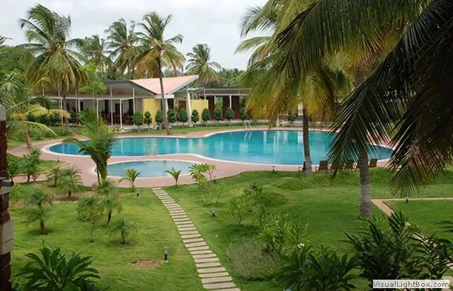 Free-form pool surrounded by lawn and coconut palms at Country Club Coconut Grove