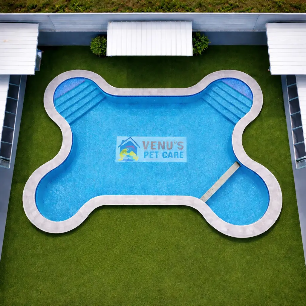 Bone-shaped dog swimming pool set in lawn at Venus Pet Care, Rachanamadu