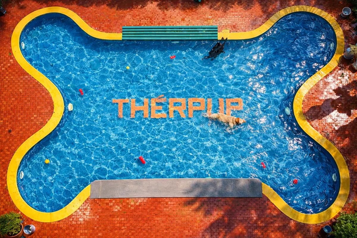 Bone-shaped dog swimming pool at Therpup, Bangalore
